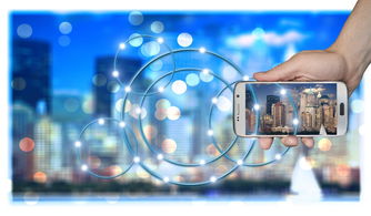 乐鱼体育app网址-中国篮球职业俱乐部财务风险管理策略研究，篮球俱乐部运营情况